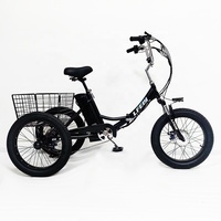 Tricycle électrique à 3 roues de 20 pouces, batterie 13 Ah, moto électrique à trois roues, scooter électrique pour adultes