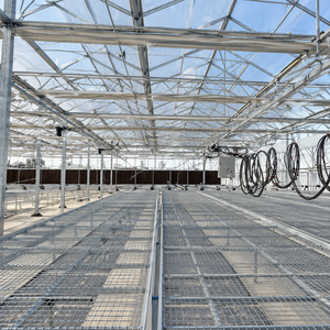 Commercial Multi-Span PC Polycarbonate <b>Greenhouse</b> with Galvanized Steel Frame <b>for</b> High-Yield Vegetable Farming - Product Image 5