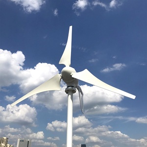 Energy 600w 12v 24v 48v Horizontal Wind <b>Generator</b> for Home Use SC600 <b>Generators</b> for Wind Mill SC600 - Product Image 5