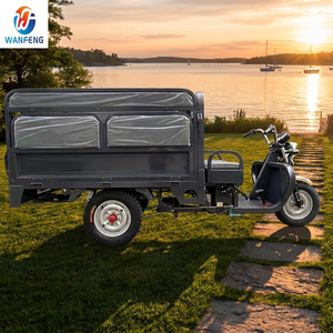 Tricycle électrique cargo personnalisé à <span class=keywords><strong>3</strong></span> <span class=keywords><strong>roues</strong></span> avec siège passager pliable, chargeur robuste, E-Trike pour les marchés d'Amérique et d'Asie - Product Image 6