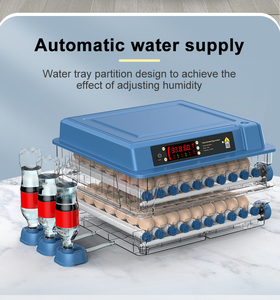 Máy ấp trứng tự động giá rẻ <span class=keywords><strong>200</strong></span> trứng năm 2023 với giá thành thấp - Product Image 6