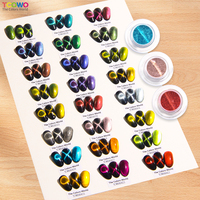 Échantillon Gratuit Poudre à Ongles Effet Œil de Chat 9D Chrome Magnétique Caméléon Scintillant Magique Soak-Off Manucure Nail Art Salon Poudre Miroir