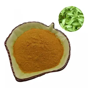 Stevia Extract Factory Supply Sweetener Sugar Substitute 10:1 20:1 30:1 Stevia Leaf Extract