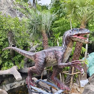 Équipement d'attraction de fête foraine, dinosaures animatroniques Velociraptor grandeur nature réalistes et automatiques pour parc - Product Image 2