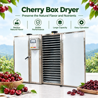 Industriële kersen-dehydrator met heteluchtcirculatie, fruitdroogrek en droogoven voor gedroogde kersen