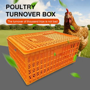 Caisse de transport en plastique pour poulets de la ferme avicole de Linchuan avec contrôle précis de la température pour poulets vivants - Product Image 1