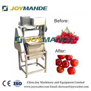 Machine automatique de dénoyautage de <span class=keywords><strong>cerises</strong></span> de haute qualité Cherry Pit Remove Machine Cherry Stoner - Product Image 6