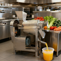 Industriële Maker 220V Meloen Appel Mango Vruchtensap Persing Kokosmelk Juicer Machine Hydra Extractor Lijn