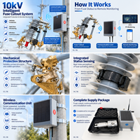 Disjoncteur de coupure extérieur MRCA-12 10 kV avec parafoudre à oxyde de zinc pour la protection des transformateurs de distribution