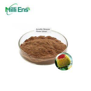 الأكثر مبيعًا مسحوق خلاصة كوشير الحلال أكميلا olacea Spilanthol - Product Image 3