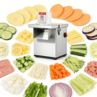 YYHB Compacte Automatische Groente- en Fruit Snijmachine Motor 220V 200W Laag Geluidsniveau voor Commerciële Catering, Ghost Kitchens en Bezorging