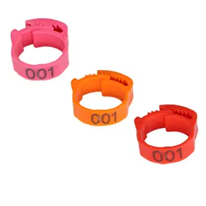 Coscia di pollo con anello per piede animale a 6 colori con etichetta regolabile Clip di identificazione in plastica digitale anello per piede di pollo