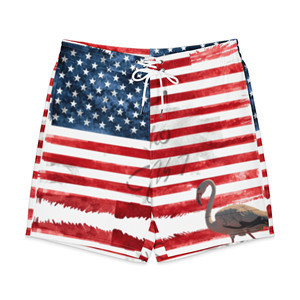 Costumi da bagno da uomo - Product Image 1