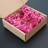 Bunga Kering Alami 50 Tangkai Mini Baby Breath Gypsophila Awet untuk Dekorasi Pernikahan, Corsage, dan Bahan Kartu Undangan