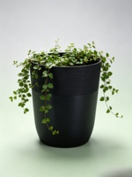 Grand pot en plastique texturé bicolore, pot cylindrique noir, finition sculptée à la main, décoration moderne, pot à fleurs pour plantes d'intérieur