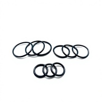 NOIC Gummi O-Ring NBR O-Ring Hersteller O-Ring