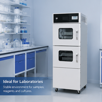 Gabinete de Secado al Vacío Médico de 68L, Temperatura Ajustable de 40-80°C, Acero Inoxidable, Equipo de Laboratorio Moderno de Alta Calidad