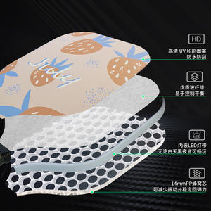 Raquette de pickleball à LED en fibre de verre du fabricant en gros Raquette de sport de plein air lumineuse rechargeable pour le divertissement - Product Image 2