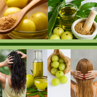 Poudre de fruit d'Amla pure de haute qualité, étiquette personnalisée, poudre d'Amla végétalienne pour les cheveux