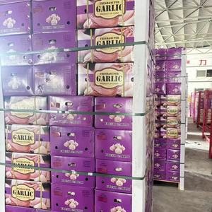 Ajo Fresco Chino, Verduras Frescas de China, Exportador de Ajo Fresco, Precio al por Mayor, Ajo Fresco, Ail Frais, Alho - Product Image 1