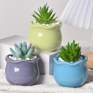 Maceta de pared creativa con diseño de macaron, transpirable, luminosa, estilo pastoral fresco, <span class=keywords><strong>para</strong></span> <span class=keywords><strong>cactus</strong></span> <span class=keywords><strong>y</strong></span> <span class=keywords><strong>suculentas</strong></span> - Product Image 5