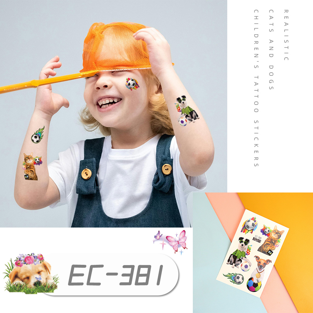 EC-381