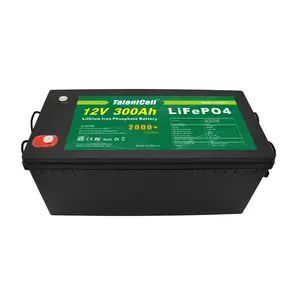 Amerika Serikat 12.8V 12V BMS harga baterai Lithium Ion Lifepo4 murah panel surya energi baru dan baterai Lithium 300AH