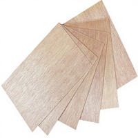 Panneau d'emballage multicouche en contreplaqué d'eucalyptus pour la construction, durable, résistant à l'humidité, qualité PREMIUM E1, sans formaldéhyde, pour intérieur