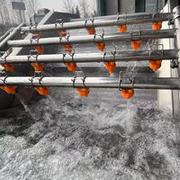 Commerciële industriële fruit- en groentewasmachine, wasapparatuur voor saladeverwerking