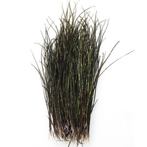 <span class=keywords><strong>Fil</strong></span> de plumes d'herl 10cm-18cm, naturel Olive vert paon, banderoles de maquillage pour Nymphs, matériel pour attacher les mouches - Product Image 1