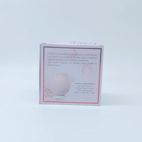 Boîte en carton de luxe avec fenêtre dorée, impression couleur, revêtement UV pour l'emballage de jouets, poupées, fleurs et accessoires de mode