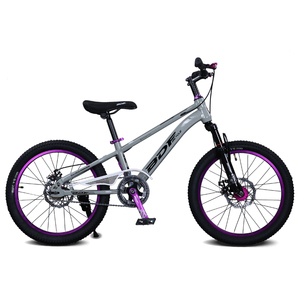 Vélo vtt pour étudiants Vélo à pédale violet à une vitesse Vélo ordinaire pour enfants du fabricant avec frein à disque Fourche en acier - Product Image 5