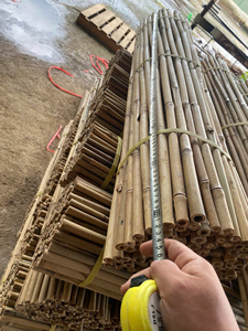 Agricultural Bamboo Stakes Plant Support Sticks Natural Dried Long Lasting Branch Fumigated Vietnam Wholesale Supplier <b>Pole</b> - Product Image 5