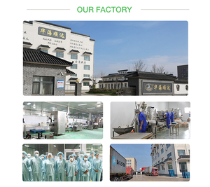 OEM/ODM tinh chất Gà Gia vị | gà kho bột cho súp 200g x 40 túi | OEM hỗ trợ hương vị gà Enhancer số lượng lớn - Product Image 5