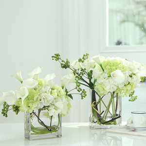 Modern Transparent Hydroponic Glass <b>Vase</b> Wide-mouth Glass Decorative <b>Vase</b> - Product Image 3