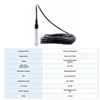 NOVA PL301 Edelstahl-Tauchpegelsensor 4-20mA 0-10V RS485 Wassertank-Füllstandsmesser 1m-10m Flüssigkeits-Transmitter