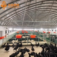 Connecteurs rapides Plug and Play pour l'éclairage des fermes avicoles, gradation fluide, pour fermes d'élevage, poulaillers, projets avicoles commerciaux
