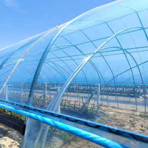 Invernadero de Túnel Metálico con Estructura de Polietileno para Agricultura, Suministro de Fábrica - Product Image 3
