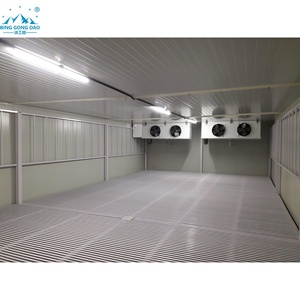 Habitación enfriadora personalizada o cámara frigorífica, almacén de almacenamiento en frío, precio de fábrica, enfriador para frutas, verduras, carne o mariscos - Product Image 3
