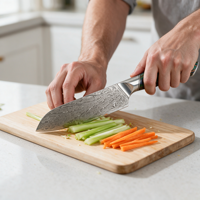 Damascus staal hoog koolstofstaal modern minimalistisch Santoku mes 17,5 cm scherp vleesbijl kleurrijk houten handvat ambidextrous