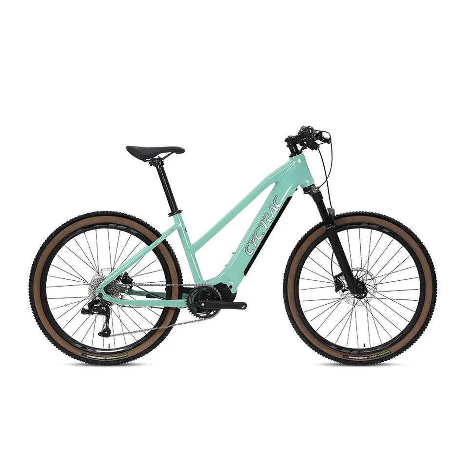 트위터 전기 자전거 bafang 미드 모터 전기 도시 자전거 디스크 브레이크 10 속도 도시 ebike