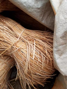 Grande Vente Rotin Peel Haute Qualité Pique-Nique Naturel Fruit Style Tissage Écologique Meubles De Vietchoice Ivy Modèle - Product Image 6