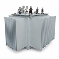 Transformateur de distribution immergé dans l'huile 10 kV/0,4 kV personnalisé, transformateur de puissance extérieur pour projets utilitaires et industriels