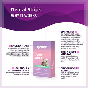 Bandes buccales OEM/ODM pour chiens et chats : Complément alimentaire pour adultes, rafraîchit l'haleine, soutient la santé des dents et des gencives, action rapide, saveur pomme - Product Image 6
