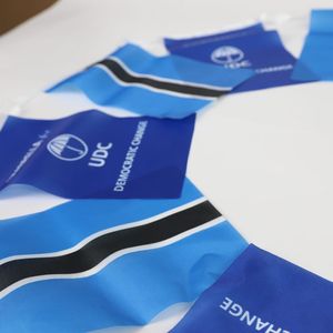 Gahumi Fábrica de alta calidad <span class=keywords><strong>Botswana</strong></span> UCD Bunting Flag Proveedor nacional <span class=keywords><strong>Botswana</strong></span> UCD Bunting Banner <span class=keywords><strong>Bandera</strong></span> Proveedor - Product Image 4