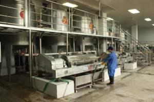 Extracto de Beta Dextranasa en Polvo, Polvo de Enzima Dextranasa - Product Image 6