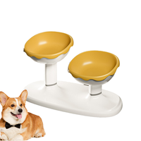 Gamelle double inclinée et surélevée pour chien, en plastique solide, étanche, réglable, avec protection du cou, petite taille, personnalisable en gros (OEM)