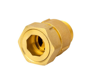 Válvula de retención de agua vertical, OEM 1/2 3/4 1 11/4 2 pulgadas NPT, tipo de lista de precios - Product Image 2