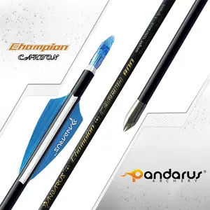 Pandarus Champion id4,2 мм профессиональные стрелы из чистого углерода для стрельбы по мишеням с прямолинейностью 0001 дюйма