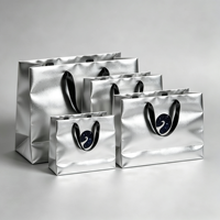Tas Kertas Hadiah Belanja Personalisasi dengan Logo Anda Sendiri, Cetak Offset Bahan Daur Ulang, Logo Foil Perak Kustom